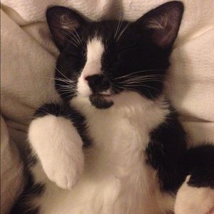 Meet your Posher, Izzu